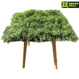 thumbnail of 1 metro cuadrado de pared de musgo verde artificial premium "OSLO" | plantas montaje en pared imagen de musgo hotel  en interiores y exteriores