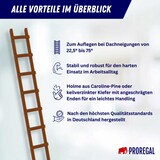 thumbnail of PROREGAL Dachleiter Holz 10 Sprossen