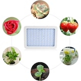 thumbnail of Lâmpada de crescimento 100 LED para cultivo VETS Luz para plantas de interior 1000w