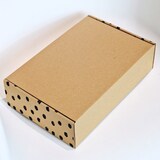 thumbnail of Caixa Postal Kraft Pintas Chita 365x255x80 mm