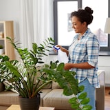 thumbnail of Relaxdays Sprühflasche Pflanzen, 3er Set, einstellbare Düse, 1 Liter, mit Skala, Kunststoff, Blumensprüher, weiß-blau