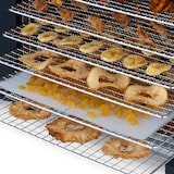 thumbnail of Desidratador de alimentos Dsy900 H.koenig 6 bandejas de secagem removíveis 650w