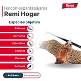 thumbnail of Remi Hogar Espantapájaros Halcón Profesional Mástil 7 Metros con protección UV | Ahuyenta Palomas, tórtolas, estorninos, pardillos, garzas, gaviotas