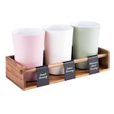 thumbnail of APS dressing pot/dressing container display/station40 x 16 cm, H: 9 cm