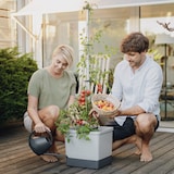 thumbnail of Gusta Garden Tom Tomato Draußen Topfpflanzer Freistehend Aluminium, Polypropylen (PP) Grau