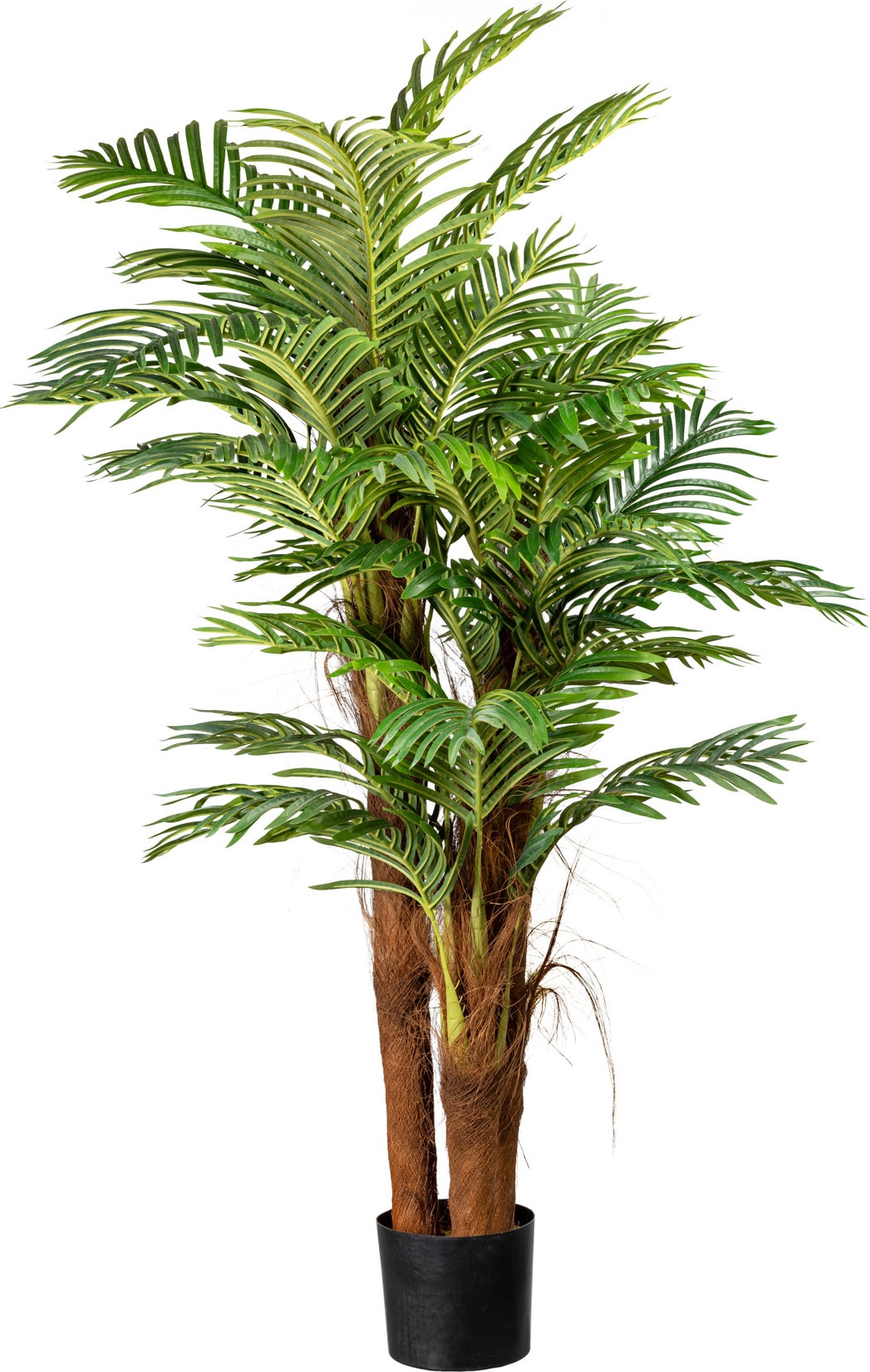 CREATIV green künstliche Pflanze Arecapalme mit Cocosstamm ca 160cm, 27 Wedel, im Kunststofftopf 19x17cm, mit Erde