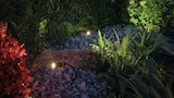 Beleuchtete Steine und Pflanzen in einem Garten.