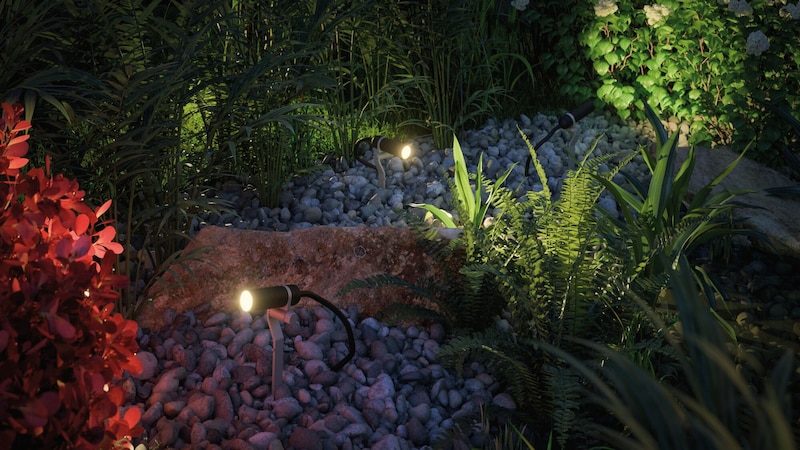 Beleuchtete Steine und Pflanzen in einem Garten.