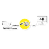 thumbnail of ROLINE GOLD 4K DisplayPort-DVI Adapter, Aktiv, v1.2, DP ST - DVI BU