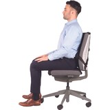 thumbnail of Fellowes Respaldo lumbar Professional ergonómico de espuma con sección para columna, color negro