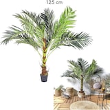 thumbnail of NATURN LIVING Sagopalme aus Kunststoff - ø 60 x 142,5 cm - Wartungsfreie Cycas Revoluta - Kunstpflanze - Grün