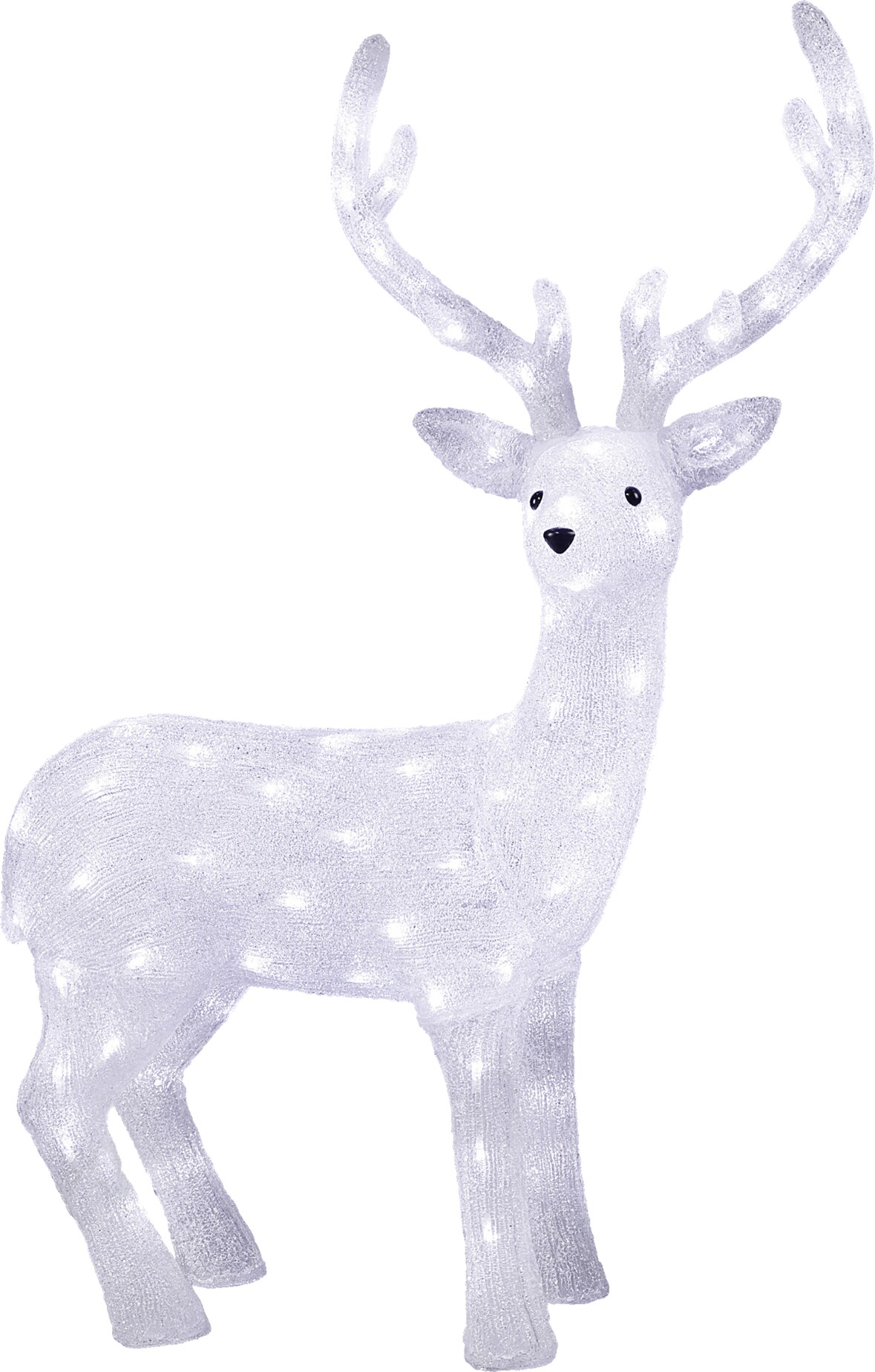 Tarrington House LED-Acryl Rentier, 70 x 25 x 102 cm, 136 LED, 10 W, kaltweiß