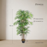 thumbnail of Bonerva | Bambú Nature UV 150 cm Altura | Planta artificial con Tronco natural y protección UV para exterior | Ideal para Negocios y hogares