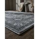 thumbnail of Teppich Wohnzimmer Orientalisch Pflegeleicht Waschbar Strapazierfähig Schlafzimmer OEKO-TEX Grau 240x340 cm – ALETSCH von Kadima Design