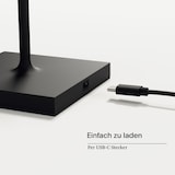 thumbnail of Gastropack 6x Nuindie USB-C 38cm nachtschwarz