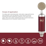 thumbnail of Microphone Condensateur Enregistrement Haute Sensibilité Pour Studio Professionnel YONIS