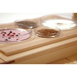 thumbnail of Bartscher Buffet-System Set GLS4