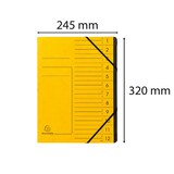 thumbnail of Exacompta - Réf. 541209E - Carton de 10 trieurs dos agrafé - avec élastiques noire - 12 compartiments - dim 24,5x 32 cm - A4 - couleur jaune