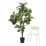 thumbnail of Ficus Lyrata Stam 198 cm -  Vert Autre forme Plastique Lou De Castellane 0.01x0.01 cm