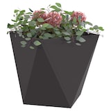 thumbnail of vidaXL Pflanzkübel 2 pcs Schwarz 50 x 50 x 50 cm Stahl