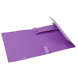 thumbnail of Exacompta - Réf. 16015H - 10 boites de classement Cartobox Dos 60mm Carte lustrée - A4 - Violet