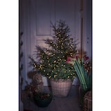 thumbnail of Konstsmide LED Baummantel mit Ring Ø 11, mit Globes, 5 Stränge à 40 bernsteinfarbene  Dioden, vormontiert, 30V Innentrafo, grünes Kabel