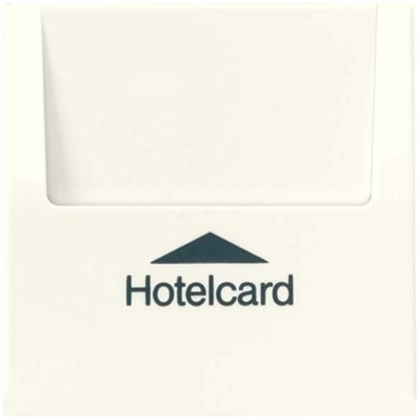 Jung Hotelcard-Schalter ws LS 590 CARD LS590CARD