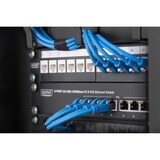 thumbnail of DIGITUS Wandgehäuse 254 mm (10") - 312x300 mm (BxT)