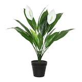 thumbnail of Pianta artificiale Spathiphyllum 45X57Cm