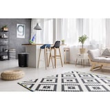 thumbnail of Jinfa 4er-Set Retrodesign Mülleimer mit Griffen und Deckel + 30 Müllbeutel | schwarz | 62L