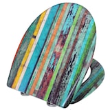 thumbnail of Helloshop26 - Retro-WC-Sitz aus mehrfarbigem Duroplast mit Absenkautomatik und Schnellverschluss 19_0000713