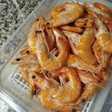 thumbnail of Pack 6 Bandejas para Descongelação de Alimentos com Grelha (4,2 L) - Sem BPA. Buffet, restaurantes, cozinhas...