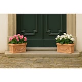 thumbnail of Biscottini Vasi per fiori 61x29x27 cm - Vaso rettangolare in Terracotta - Fioriera esterno da giardino - Vasi da interno - Cassetta per fiori balcone