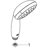thumbnail of Grohe Handbrause TEMPESTA 100 2 Strahlar