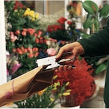 thumbnail of Rapid, Pince-agrafeuse Classic K1, jusqu'à 50 feuilles, Blister, Argent, 10510629