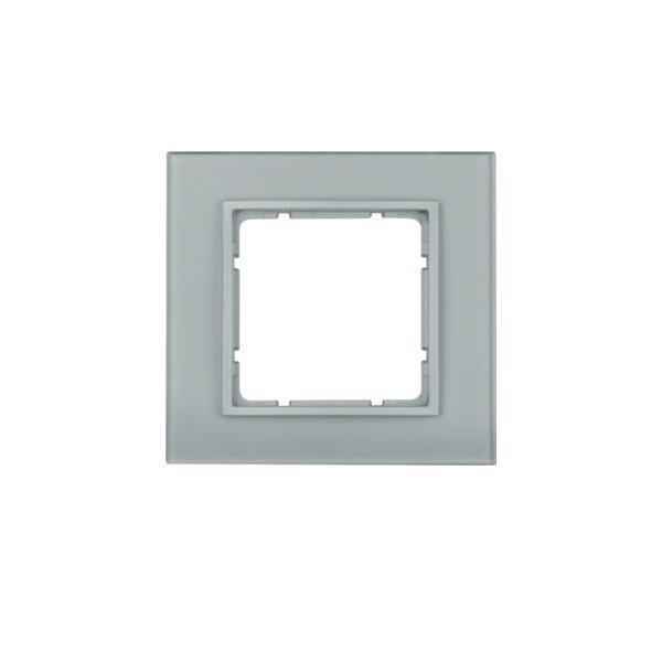 Berker Glasrahmen 10116414