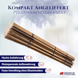 thumbnail of PROREGAL 1x Versandkarton 2-wellig | LxBxH 1200 x 600 x 600 mm | Mit Höhenriller & Belastbar bis 30 kg | Faltkarton Karton Paket für Versand mit DHL