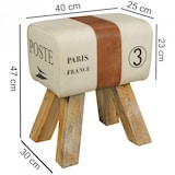 thumbnail of Design Sitzhocker Springbock Fußhocker Turnhocker Turnbock Pferd Leder Jeans