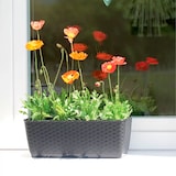 thumbnail of Prosperplast - RATOLLA P 3L Blumentopf – 29,3 x 11,9 x 12,6 cm in dunkler Ockerfarbe