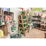 thumbnail of HORTALIA Estante Expositor de Madeira Marion