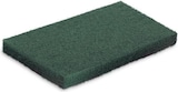 thumbnail of Super-Handpad Floorida - grün - 250x115 mm - rechteckig - 50 Pads Grundreinigung