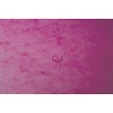 thumbnail of Exacompta - Réf. 5560E - Carton de 25 chemises à élastiques sans rabat - dimensions 24 x 32 cm pour documents au format A4 - couleur rose