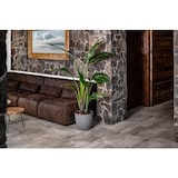 thumbnail of 8x Übertopf Ella Rollen Blumenkübel Pflanzenbox Kräutergefäß Garten Dekoration