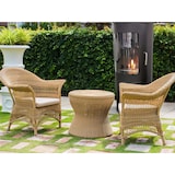 thumbnail of PURLINE Fogão a etanol preto compacto BESTFIRE COMP B