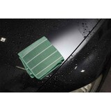 bambus fargesia schwarz Fargesia nitida 'Black Pearl'
