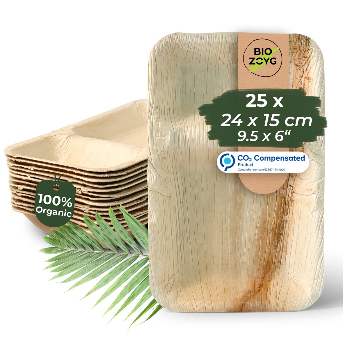 BIOZOYG 25 Stück Einwegteller Menüschale 24x15cm, Palmblatt Geschirr, Palmblatt Teller, rechteckige Menüteller mit 2 Kammern, biologisch abbaubar