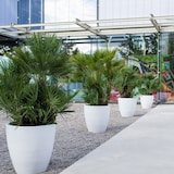 thumbnail of WellHome - Blumentopf "Accord Collection", Ø60cm, bronzefarben