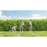 thumbnail of Bosch UniversalGrassCut 18V-26 26 cm Akku Schwarz, Grün