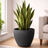 thumbnail of WellHome - Blumentopf aus rotationsgeformtem Kunststoff 27L Ø40x33cm in farbe Graphitgrau - Latia Round