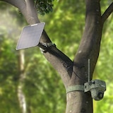 thumbnail of Reolink Go Series G450 mit Solarpanel 2 4G LTE 8 MP Wildkamera mit 360° Rundumsicht, Schwenk- & Neigefunktion, Erkennung von Tieren, inkl. Solarpanel